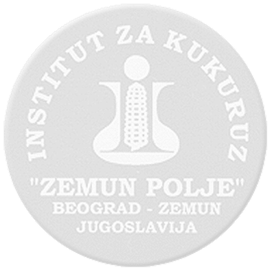 ZP_-_Logo_1